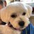Marilyn Loudermilk's profile image