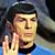 David Genest's profile image