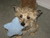 Carolyn M.'s profile image