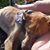 Jessica Davis's profile image