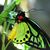 John Batchelor's profile image
