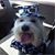 Paula Scribner's profile image