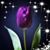 Ada Miller Evans's profile image