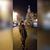 Kiran Iqbal's profile image