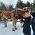 Marcie Tenny Carter's profile image