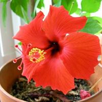 Alan Wigodner's profile image