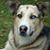 Malia Anne Englehardt's profile image