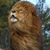 Jose De Leon's profile image