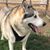 Ruth Evelyn Mastaw-clingan's profile image