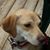 Karen Ober's profile image