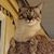 Jan Olsen Jidas's profile image