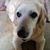 Kathy Cornacchio Risso's profile image