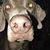 Lisa Marie Murphy's profile image