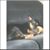 Joe Grandi's profile image