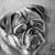 Donna Mickler's profile image