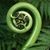 Emily Susanne Coover's profile image