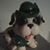 Alison Smith's profile image