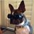 Anna Marie Alvarez's profile image
