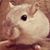 Mark Cordell's profile image