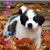 Cora Omillo's profile image