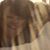 Patricia Geraghty's profile image
