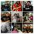 Dwayne E Wetzel's profile image