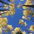 Cherie Christopherson's profile image