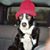 Jenny Rock's profile image