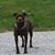 Wendy Perry's profile image