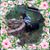 Lorena Ortega Anderson's profile image