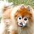 Therese Colby's profile image
