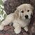 Patti Gidcumb Stanley's profile image
