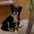 Dee Anna Lamar Morgan's profile image