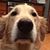 Judy Anderson's profile image