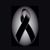Carlos Bojorquez Rochin's profile image