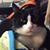 Tiffany McGurk's profile image