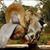 Douglas Allan Wagar's profile image