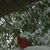 Tonya L Griffin Hom's profile image