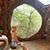 Alexis Rae Marchionda's profile image