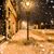 Sandy Adair's profile image