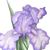 Charlene Mitchell's profile image