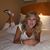 Susan Fackelman's profile image