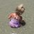 Valerie Branham's profile image