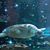 Stacie Sadler Stablein's profile image