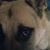Ed Thompson's profile image