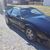 Randy Taylor's profile image