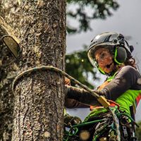 Megan Stoll's profile image