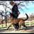 Liz Alots's profile image