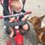 Shari Harries Griffith's profile image