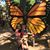Stephanie Edith Garcia's profile image